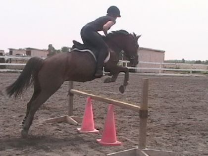 Mon poney et moi a l'obstacle!