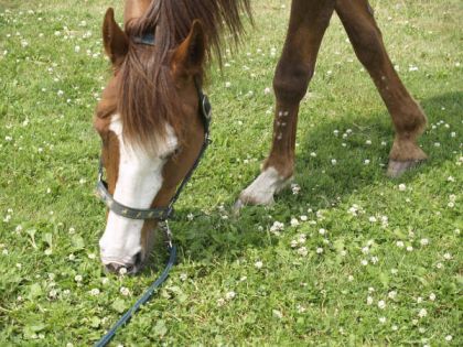 le beau thunder de ma mère!!!
