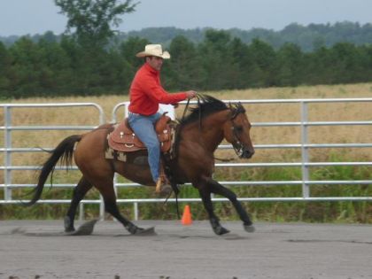 Au galop...on fait des changement de pied..