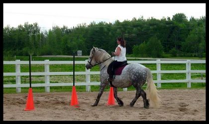 Notre participation au gymkhana de St-Paulin. :)