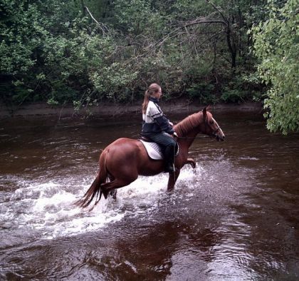 Cavalière et sa jument dans l'eau