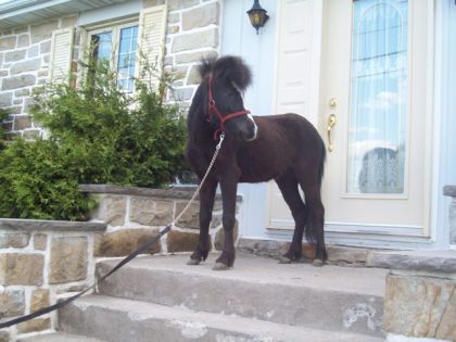 Oreo Sur mes marches en avant de chez moi ...