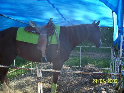 Streaky Gonzalez, Ranch des Pins 09