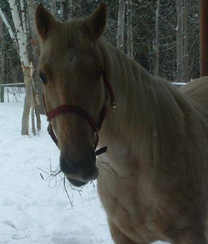 Ma tite Jessie..!! l'hiver....Mmm..ça l'air bon..!!