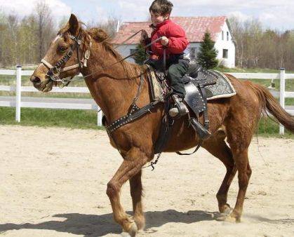 mon frere pierrick ki monte un cheval toute seul pour la...
