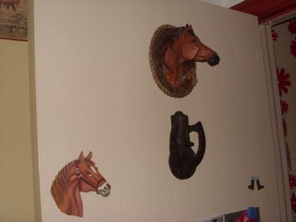 Les chevaux c ma passion..c sa qu'il y a sur ma porte..XD