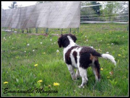 Qu'est-ce qui a par la maman?     *Wilbrod juin '09*
