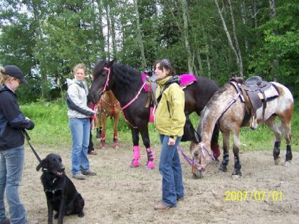 Élisabeth avec kate et lucie avec gitane et jolaine avec...