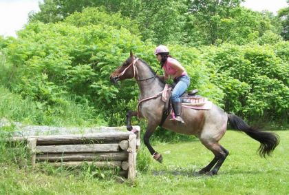 premier trec 2009! notre premier contre haut de l'année