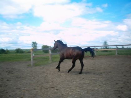 ma pouliche fo folle^^