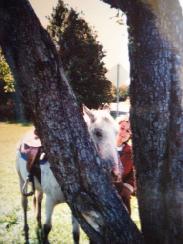 Cheval derrière un arbre