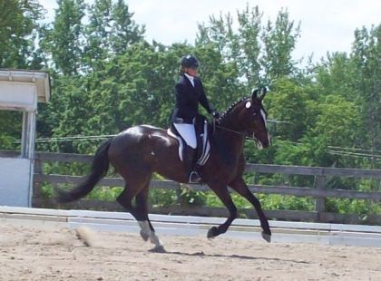 Ma coatch et Mistral (L)