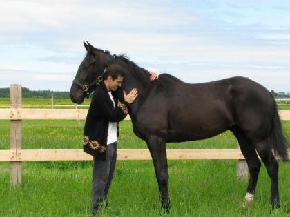 mon cheval & moi
