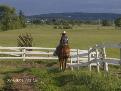 Cavalière sur son cheval dans un champ cloturé