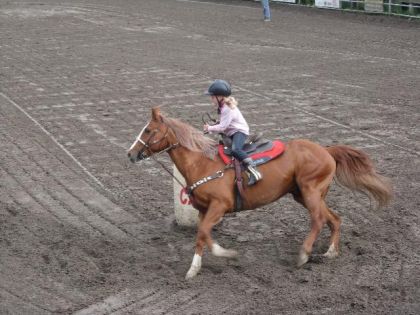 Y&eacute; trop bo son cheval
