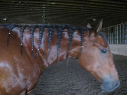 Sheera avec ses tresses ! hihi   (Dsl pour la qualit&eacute; de la...