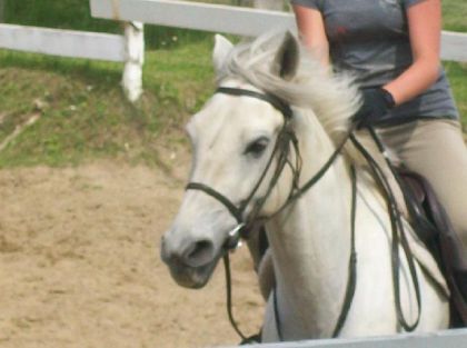 poney au travailee !!! je laiimeee
