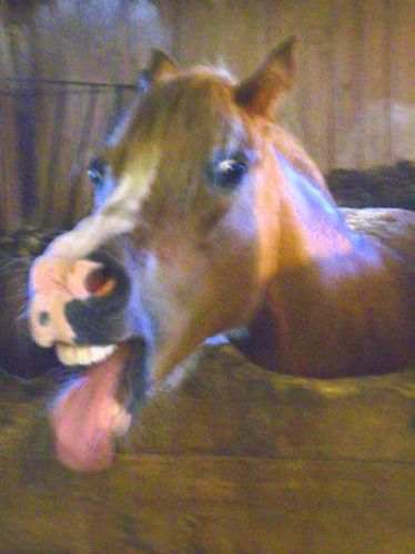 Encore Barbie qui s'amuse avec c'est grimace!!