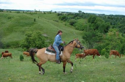 C'est moi à la ferme du Joual Vair