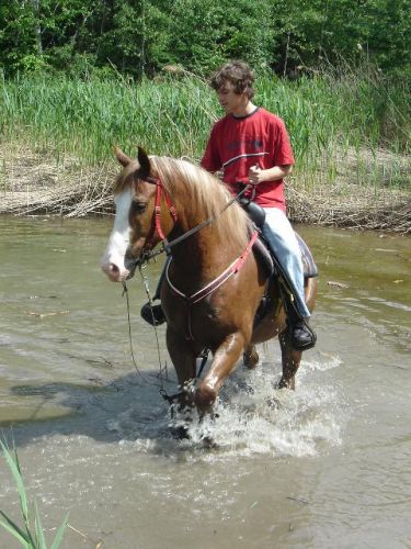 L'an passé dans le ti-lac avec ouragan le cheval a mon amie....