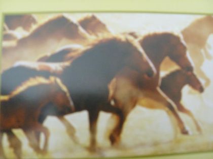 Au galop