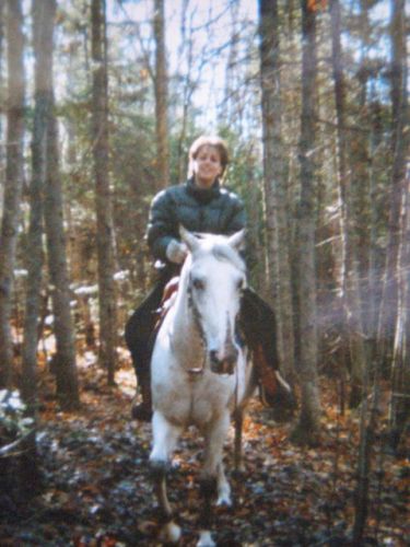 Randonnée équestre dans les bois