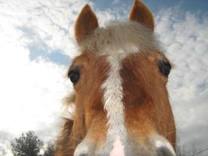 Voici un Walter curieux!