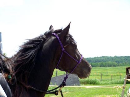 Une autre photo récente! :D <3