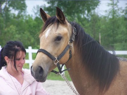 ma belle pouliche