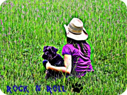 Campagne Rock `n` Roll,,:Ti-loup y faut pas regarder en arrière...