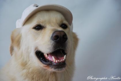 Ce n'est plus mon cowboy préféré , mais mon joueur de golf...