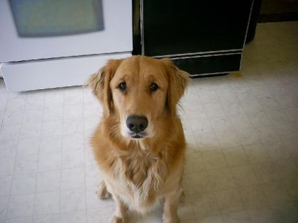 Tobby à 3 ans