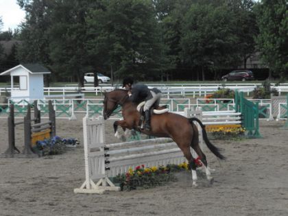 photo par Lauhorses Aujourd'hui à Blainville.