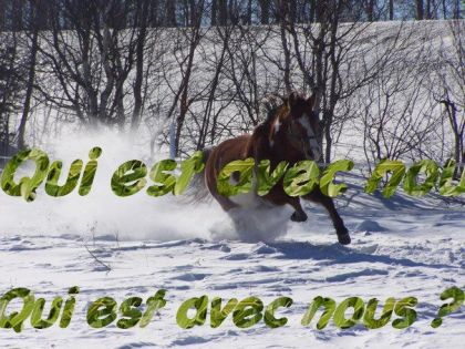 sunny court dans la neige