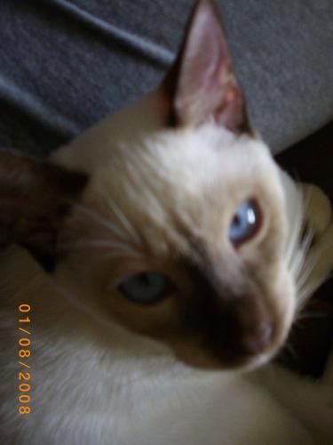 Kania ,, je t'adore tellement !!!