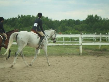 Maude Gauthier et Day Dreamer à la Martingale