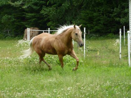 Bonny apres son shampooing