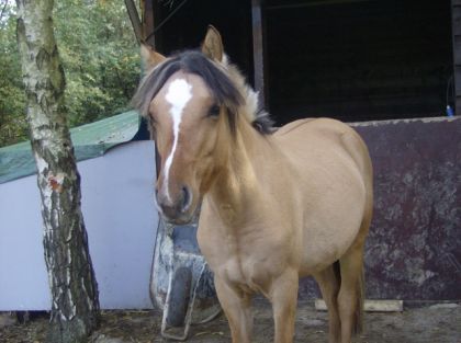 il est beau il a encore grandit xD