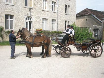 la calèche et les deux jument prète pour partir au mariage