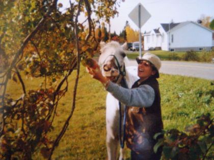Cheval près d'un pommier