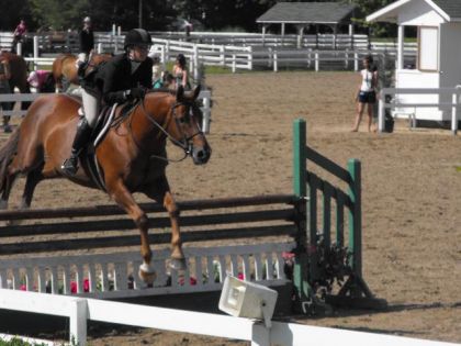 photo par Lauhorses Blainville toujours ! :P