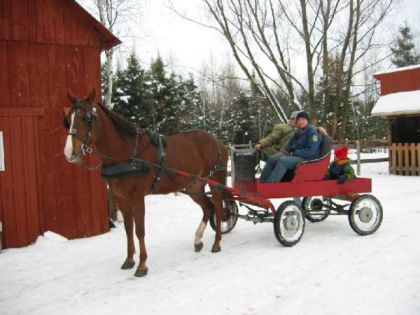 Voiture sur neige