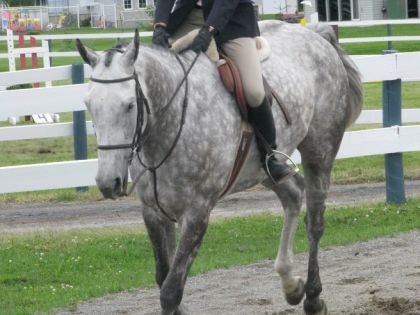 Stuart & Moi, Show Valkyr :)