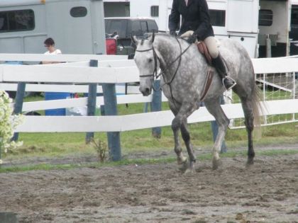 Stuart & Moi, Show Valkyr :)