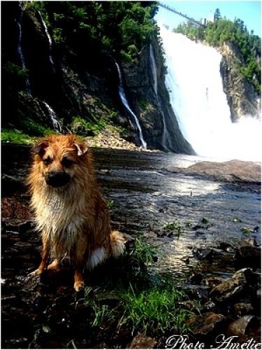 Wendy devant les chutes
