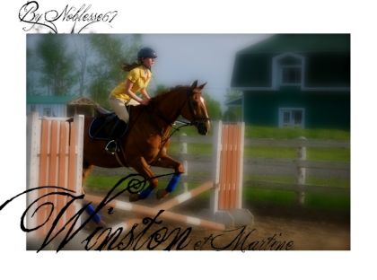 Montage de moi et Winston.