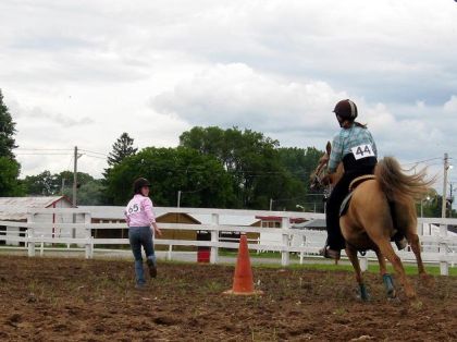 photo par joe4 pick-up team work cowgirl