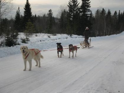 en souvenir de l'hiver