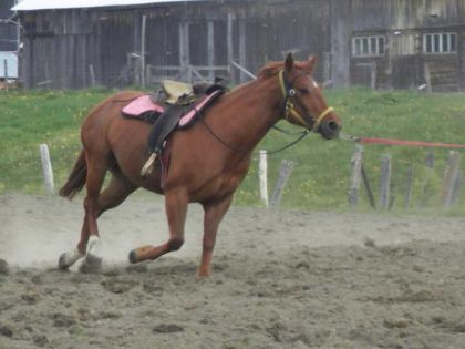 photo par tinaR