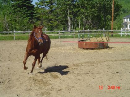 photo par tinaR